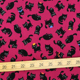 Hishiei Cats with Hats Cotton Canvas Oxford - Pink - 50cm