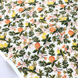 Cotton + Steel Rifle Paper Co Primavera Citrus Floral - Cotton - Cream - Half Yard