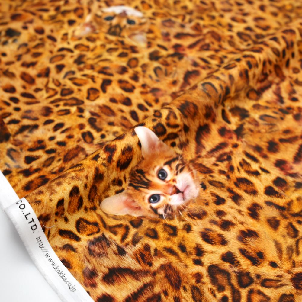 Kokka Cats Sheeting - Leopard Cats - 50cm